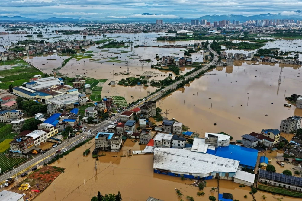 بافي4