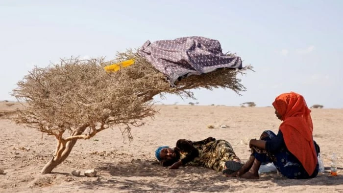 الطيور تلوذ بالظلال.. بورتسودان بلا كهرباء في الـ50 درجة وليالٍ بلا نوم تحت تهديد الحرائق