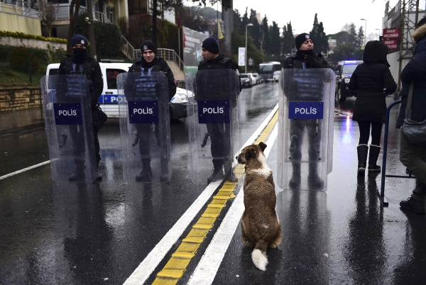 A stray dog sits in the midle of the street watching Turkish police officer as they stand guard close to the site of an armed attack near the Reina night club, one of the Istanbul's most exclusive party spots, early on January 1, 2017 after at least one gunmen went on a shooting rampage during New Year's Eve celebrations. Thirty-nine people, including many foreigners, were killed when a gunman reportedly dressed as Santa Claus stormed an Istanbul nightclub as revellers were celebrating the New Year, the latest carnage to rock Turkey after a bloody 2016. / AFP / YASIN AKGUL
