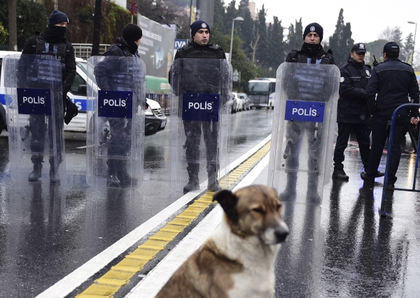 A stray dog sits in the midle of the street as Turkish police officer block the road close to the site of an armed attack near the Reina night club, one of the Istanbul's most exclusive party spots, early on January 1, 2017 after at least one gunmen went on a shooting rampage during New Year's Eve celebrations. Thirty-nine people, including many foreigners, were killed when a gunman reportedly dressed as Santa Claus stormed an Istanbul nightclub as revellers were celebrating the New Year, the latest carnage to rock Turkey after a bloody 2016. / AFP / YASIN AKGUL
