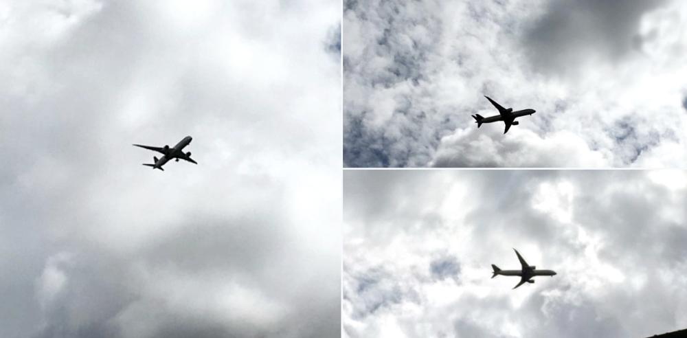 


ناشطو التواصل يرصدون حركة طائرة «السعودية» فوق المطار.