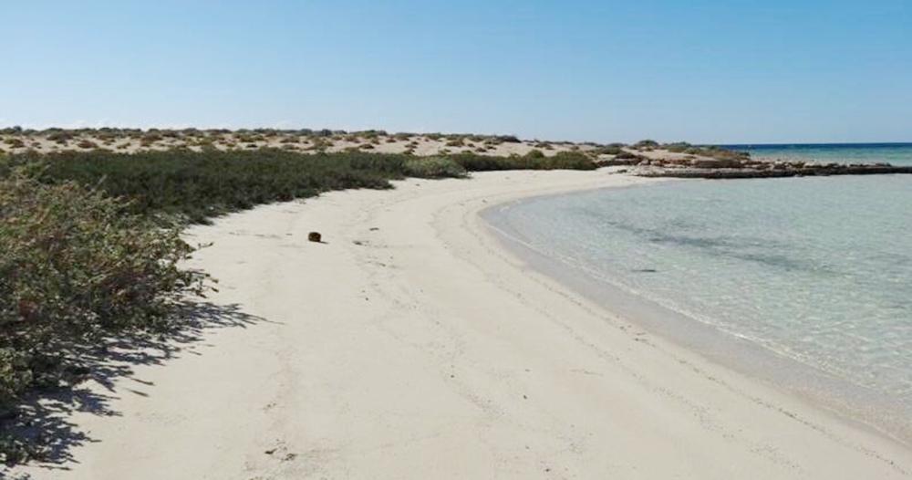 لا صوت أعلى من مشروع أملج والوجه السعودي الإخبارية وصحيفة عكاظ