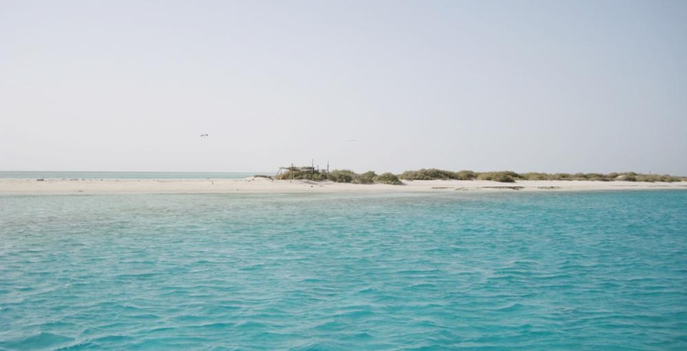 لا صوت أعلى من مشروع أملج والوجه السعودي الإخبارية وصحيفة عكاظ