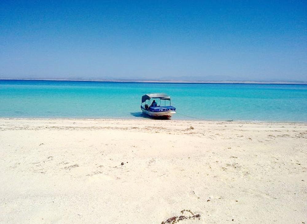 لا يزال هناك مجال للمفاجأة في البحر، السعودية، صحيفة عكاظ