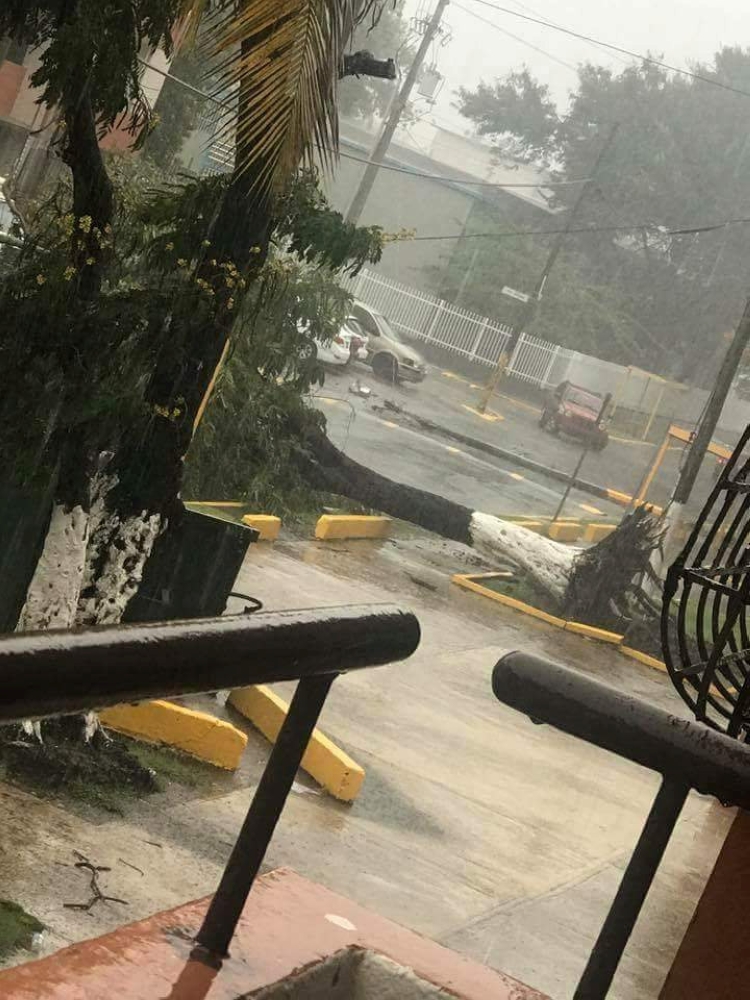 Debris is seen following high winds as Hurricane Irma nears San Juan, Puerto Rico September 6, 2017, in this image taken from social media.  Mandatory credit NICOLE PELLOT/Handout via REUTERS   ATTENTION EDITORS - THIS IMAGE HAS BEEN SUPPLIED BY A THIRD PARTY. NO RESALES. NO ARCHIVE. REUTERS IS UNABLE TO INDEPENDENTLY VERIFY THE AUTHENTICITY, CONTENT, LOCATION OR DATE OF THIS IMAGE.