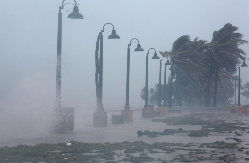 Palm trees buckle under winds and rain as Hurricane Irma slammed across islands in the northern Caribbean on Wednesday, in Fajardo, Puerto Rico September 6, 2017.  REUTERS/Alvin Baez