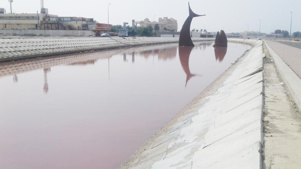 



بحيرة السمكة في أبحر الشمالية. (تصوير: موسى الأحمري)