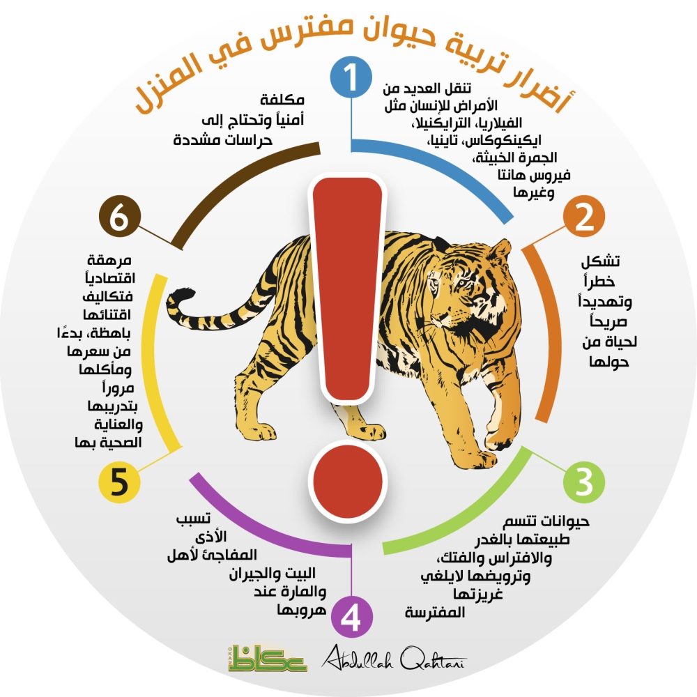 أضرار تربية حيوان مفترس في المنزل.