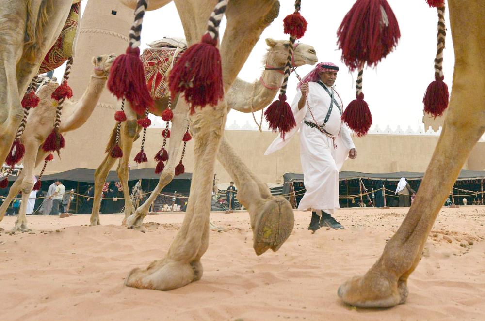 



الإبل وبيت الشعر وحياة الصحراء تطل من نافذة القرية التراثية.