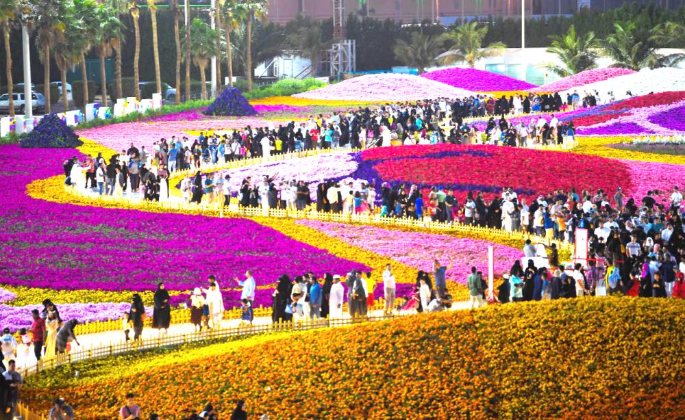 اذا زار مهرجان الزهور في ينبع يوم الخميس