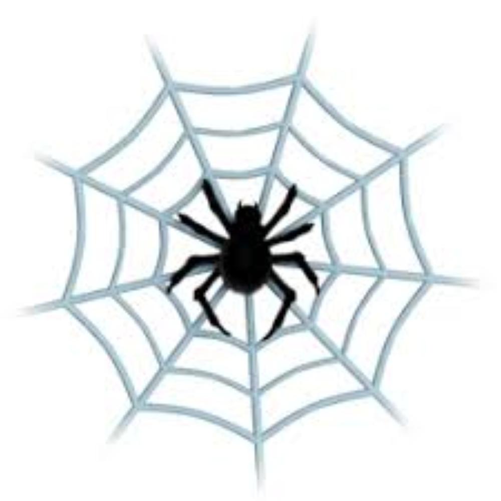 Паутина человека паука без паука. Паук на паутине. Пауки на Хэллоуин. Паутина человека паука. Паук на белом фоне.