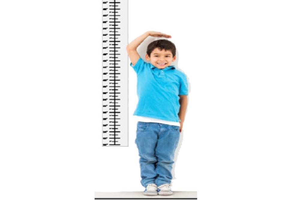 Как измерить рост. Измерение роста человека. Как правильно измерить рост. Измерение роста человека. Штука для измерения роста.