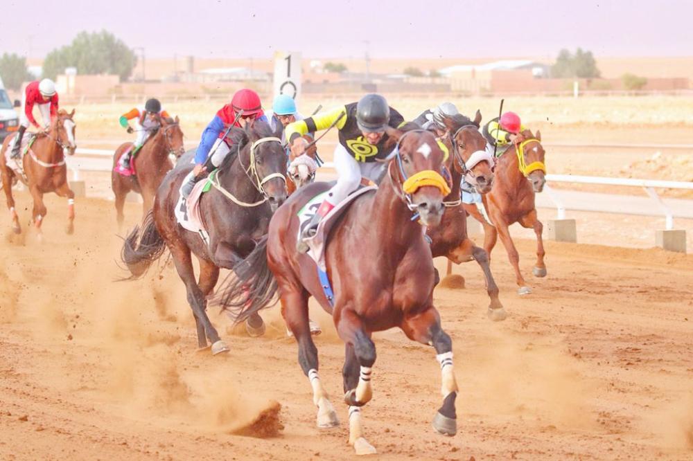 



سباق احتضنه ميدان الفروسية بالزلفي أخيرا.