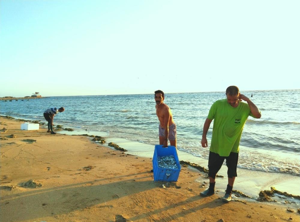 مجموعة من الشباب يمارسون رياضة صيد الأسماك بمتنزه زاعم بالوجه. (تصوير: عباس الفقيه)