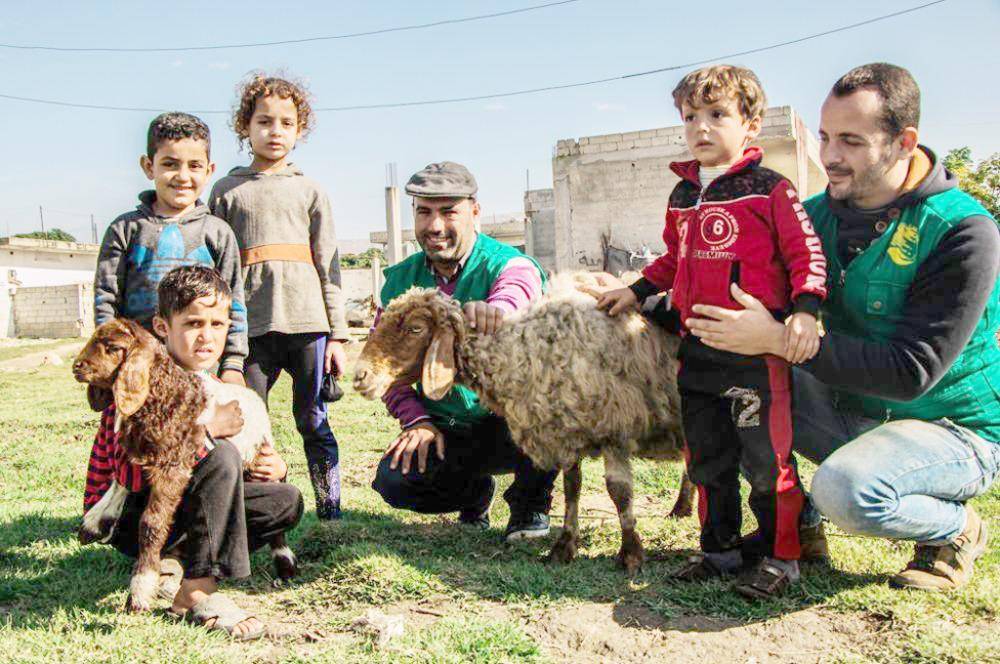 



مركز الملك سلمان يدعم قطاع الثروة الحيوانية للأسر السورية.