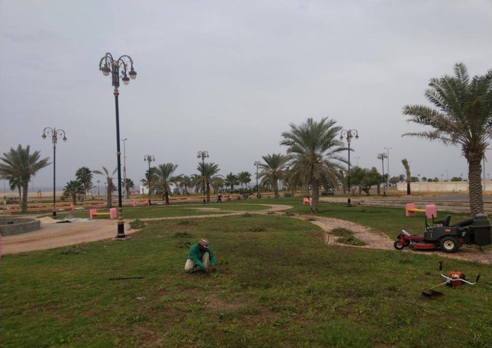 عمال بلدية الوجه يقومون بتنسيق الزراعة في أحد ميادين المحافظة