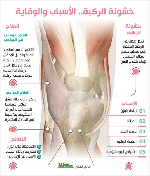 الركبة