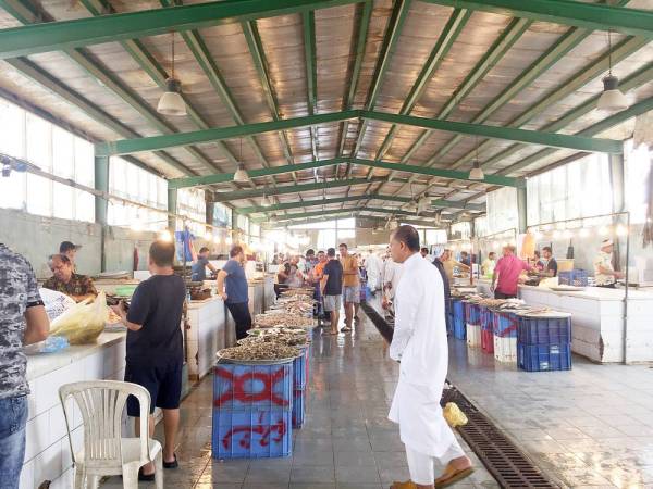 



إقبال معتدل على سوق الأسماك في القطيف.