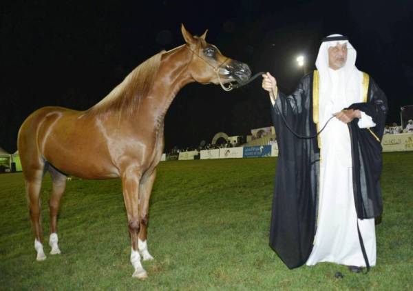 





الأمير خالد الفيصل والباشا أثناء تتويج الفائزين.