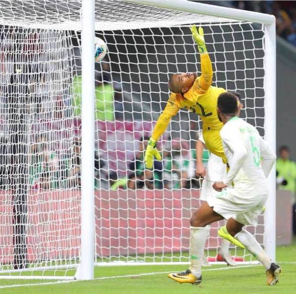 



 حارس منتخبنا الوطني فواز القرني أثناء إبعاد أخطر الكرات في مباراة قطر.