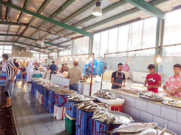 



عرض الروبيان في السوق المركزية بمحافظة القطيف.