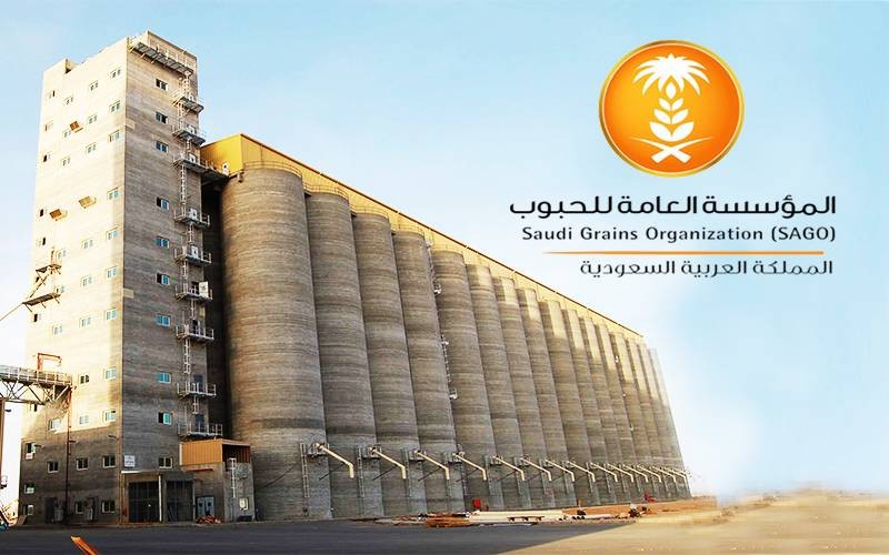 المؤسسة العامة للحبوب تعلن عن زيادة أسعار الشعير العلفي 49 35 ريال للكيس بدلا من 46 2 ريال للكيس صحيفة مال الاقتصادية