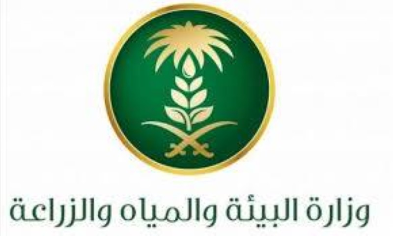 وصول أول باخرة من الأورجواي إلى جدة تحمل ٣٥ ألف رأس أغنام أخبار السعودية صحيفة عكاظ