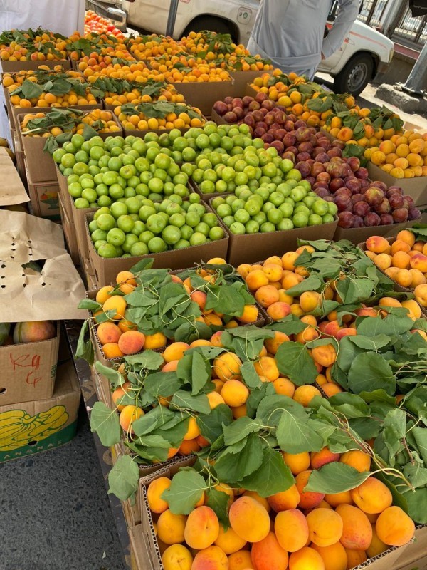 مشرف المعاشات التقاعدية منتجات الطائف Comertinsaat Com