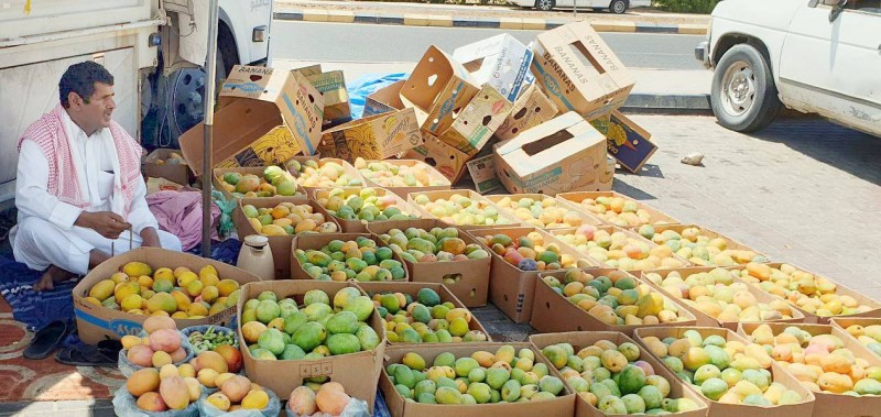 بائع يعرض كمية من فاكهة المانجو بأحد شوارع محافظة أملج. وتراوحت الأسعار ما بين 10-15 ريالا للصندوق زنة 1.5 كيلو غرام.
