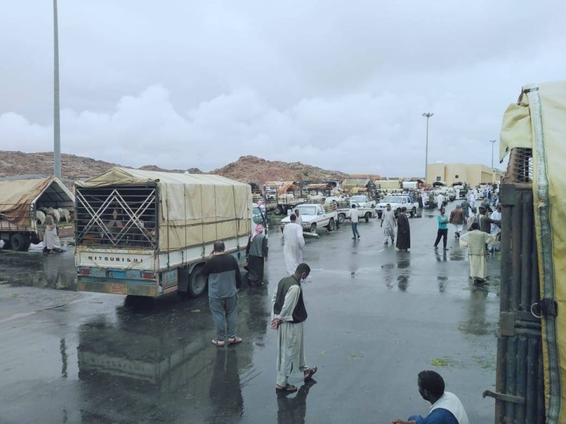 سوق الأغنام في أحد رفيدة يشهد حركة شرائية متوسطة في ظل ارتفاع الأسعار. (تصوير: خالد آل مريّح Abowajan@)