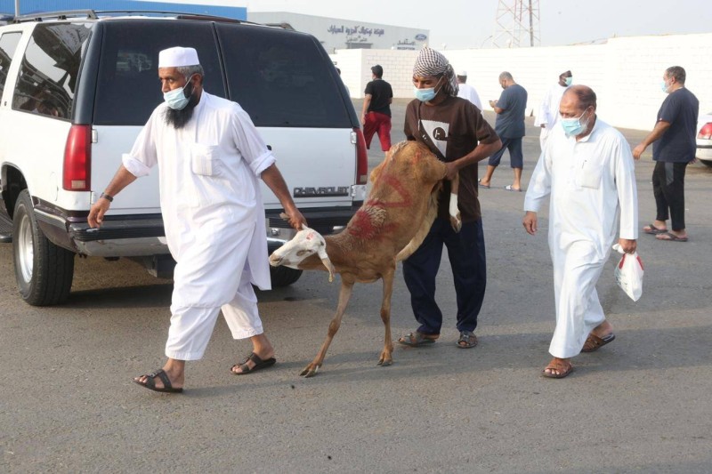 اقتياد أضحية إلى المسلخ في جدة (تصوير: مديني عسيري)