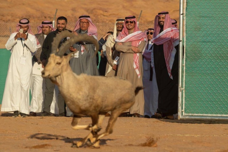 الع لا طريق البخور مرآة الحضارات وملتقى الثقافات أخبار السعودية صحيفة عكاظ