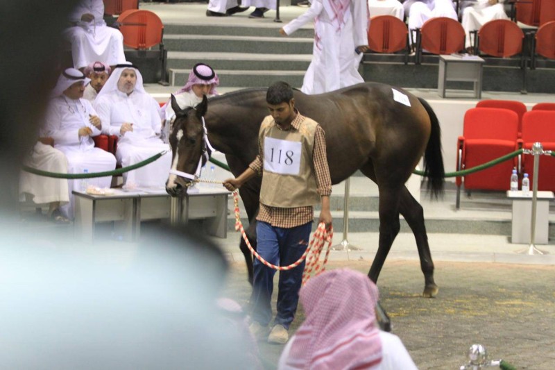 الخيل نادي سباقات أهم فعاليات