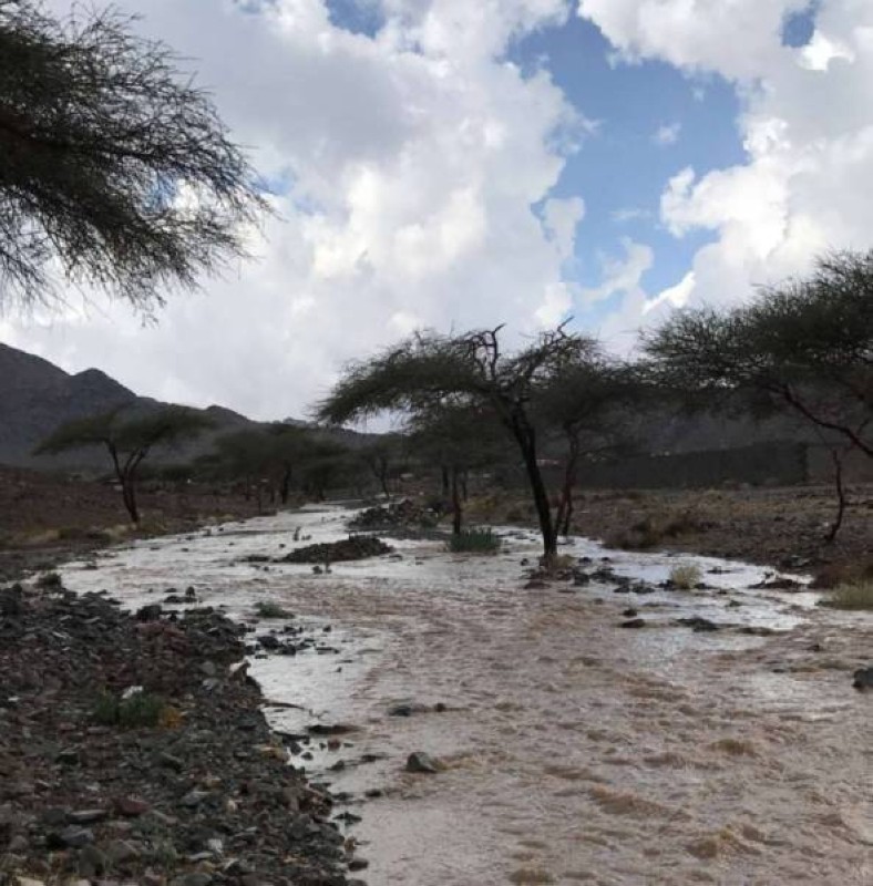 سماء غائمة جزئياً على المناطق الشمالية.
