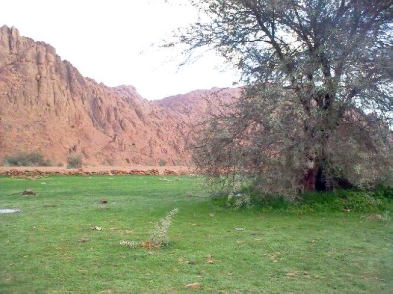 أهالي حائل يسألون «السياحة»: لماذا زهد المستثمرون عن جواذب «عروس الشمال» ؟ - أخبار السعودية | صحيفة عكاظ