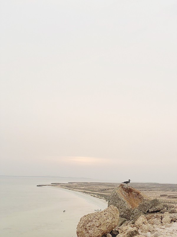 



عوامل جذب سياحي في جزر فرسان.  (تصوير: المحرر)