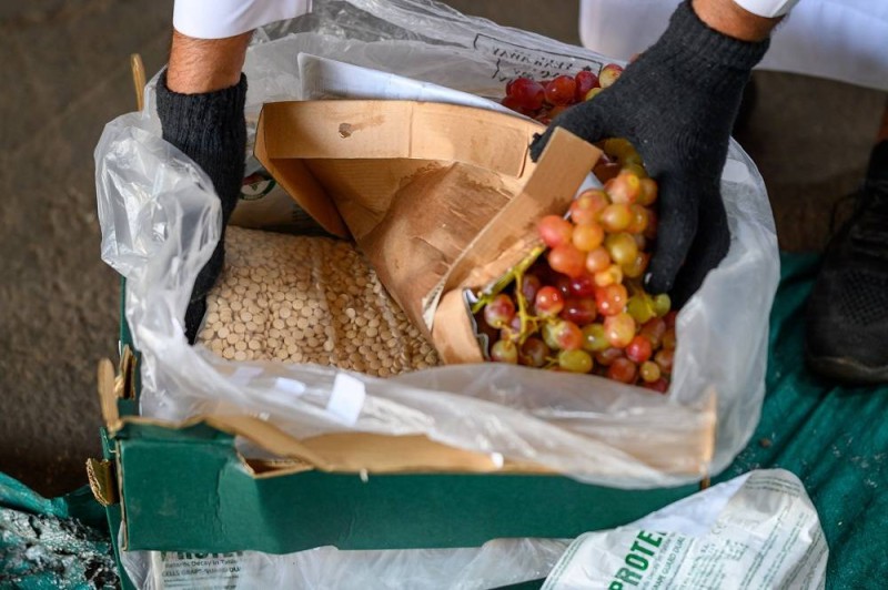 كميات الحبوب المخدرة مخبأة داخل إرسالية فاكهة العنب بعد ضبطها  في ميناء جدة الإسلامي (المديرية العامة لمكافحة المخدرات)