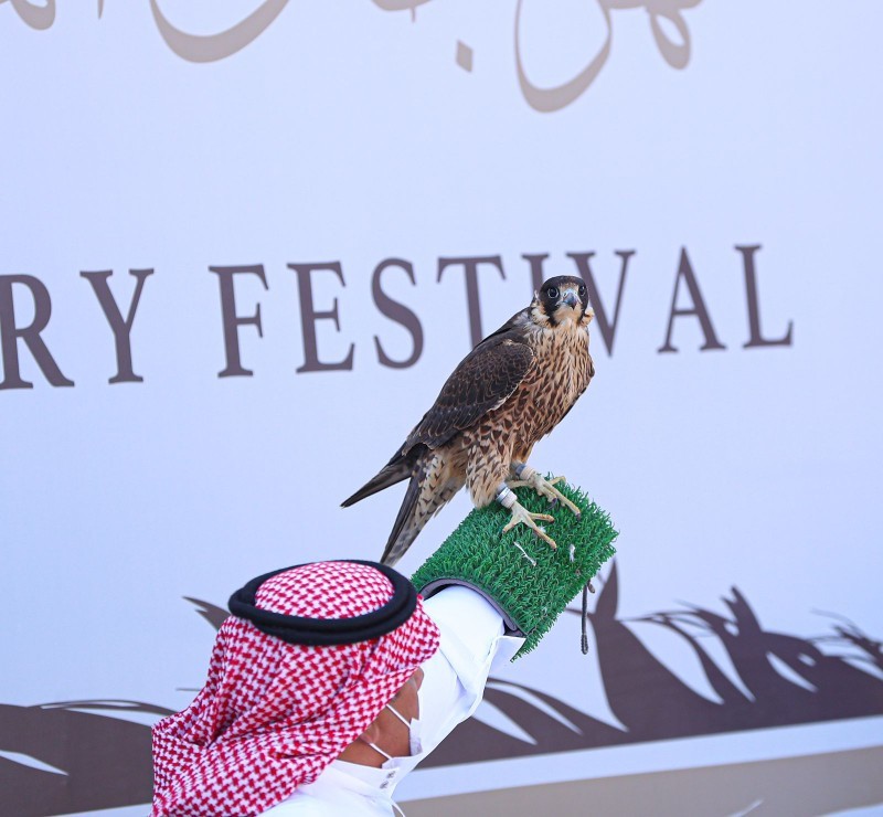 يهدف مهرجان الملك عبدالعزيز إلى الحفاظ على الإرث العريق للسعوديين، ونقل هواية الصقور إلى الأجيال القادمة، وتثقيف الأبناء بتاريخهم وما فيه من القيم والعادات الأصيلة.