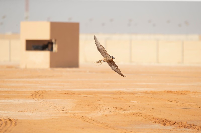 يهدف مهرجان الملك عبدالعزيز إلى الحفاظ على الإرث العريق للسعوديين، ونقل هواية الصقور إلى الأجيال القادمة، وتثقيف الأبناء بتاريخهم وما فيه من القيم والعادات الأصيلة.