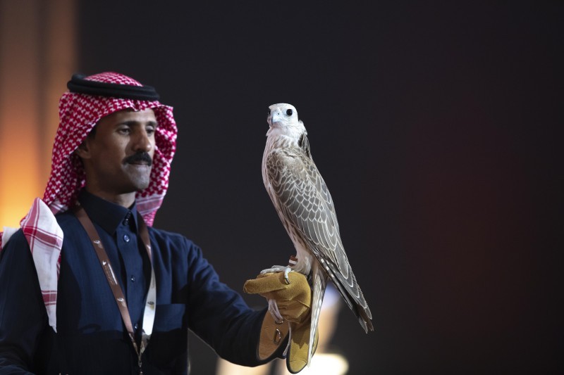 مهرجان الملك عبدالعزيز للصقور حدد 100 درجة لاختبار جمالية الصقر.