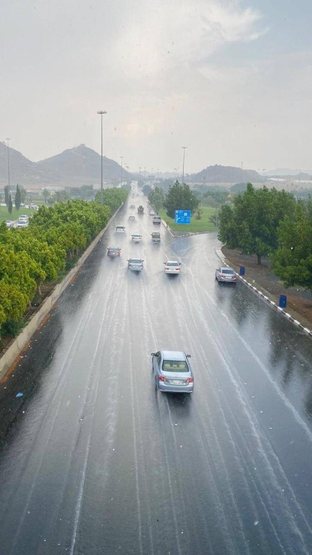 أحد شوارع الطائف. (تصوير: المركز الإعلامي في الأمانة)