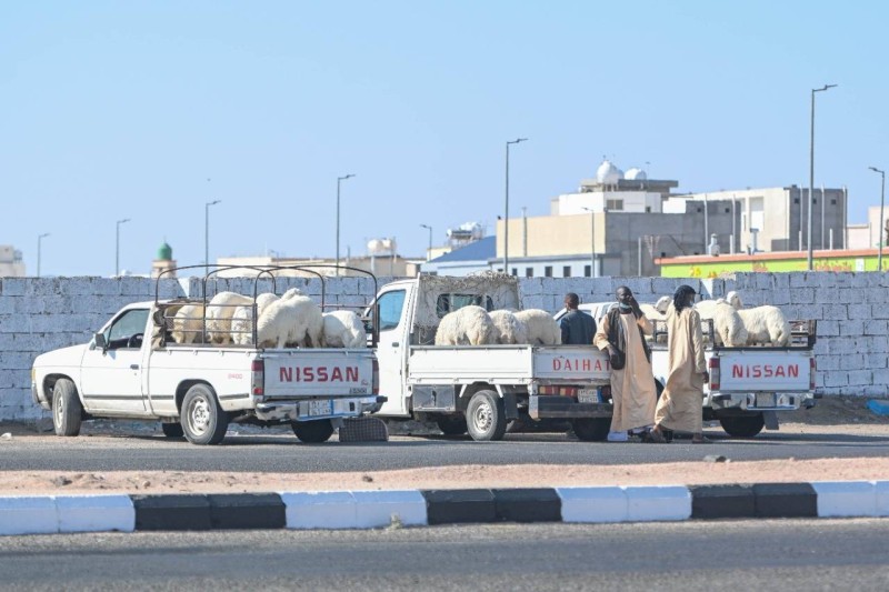 يشكو الأهالي من باعة البضائع والأغنام الجائلين. (تصوير: أحمد بن ناشيAhmed_Bin_Nashi@)