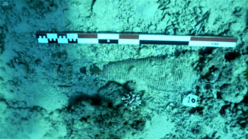 اكتشاف حطام سفينة غارقة في سواحل حقل.. والعثور على مئات القطع الأثرية