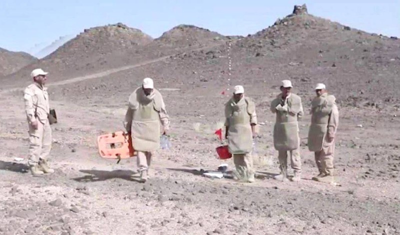 



 أفراد من فريق مشروع «مسام» يباشرون تطهير الأراضي اليمنية من الألغام. (واس)
