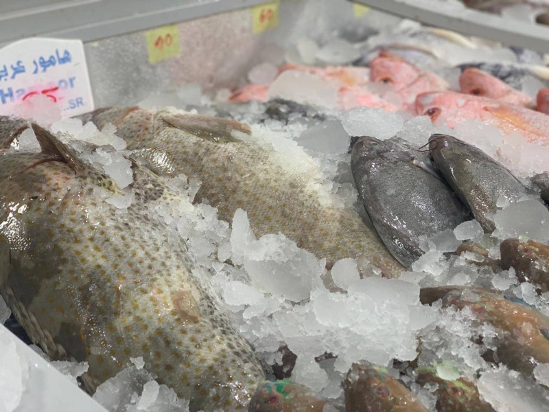 



أسماك معروضة للبيع في السوق المركزي للأسماك بالدمام أمس. 
(تصوير: المحرر)