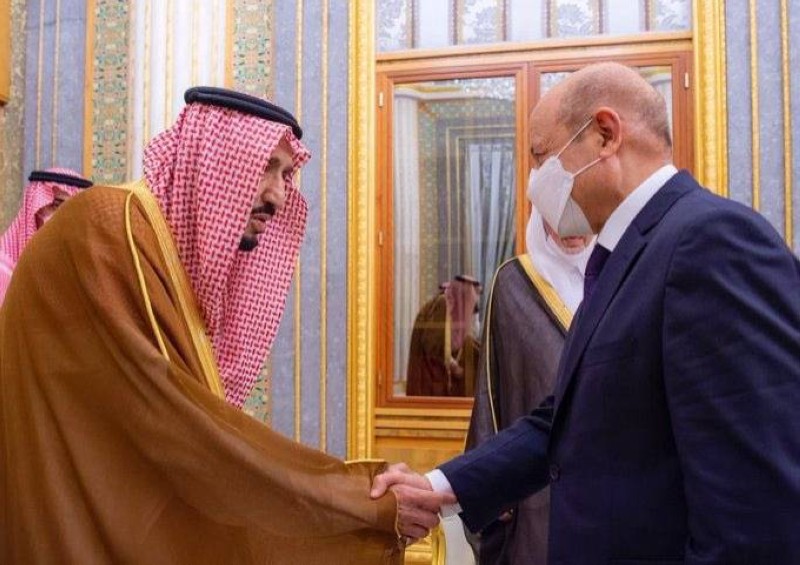 الملك سلمان أثناء لقائه رئيس مجلس القيادة اليمني.