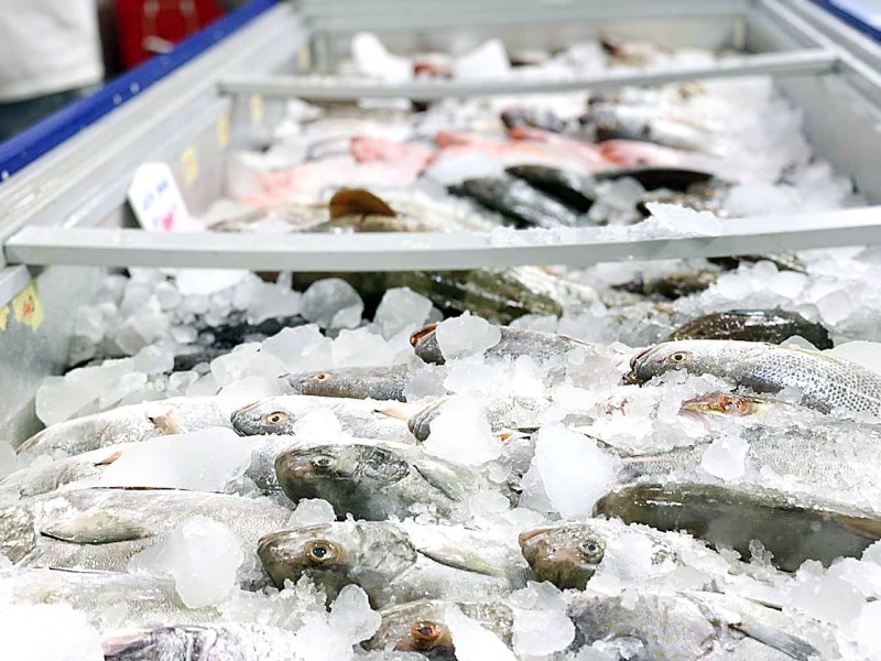 



أسماك معروضة في سوق الدمام المركزية أمس. (تصوير: المحرر)