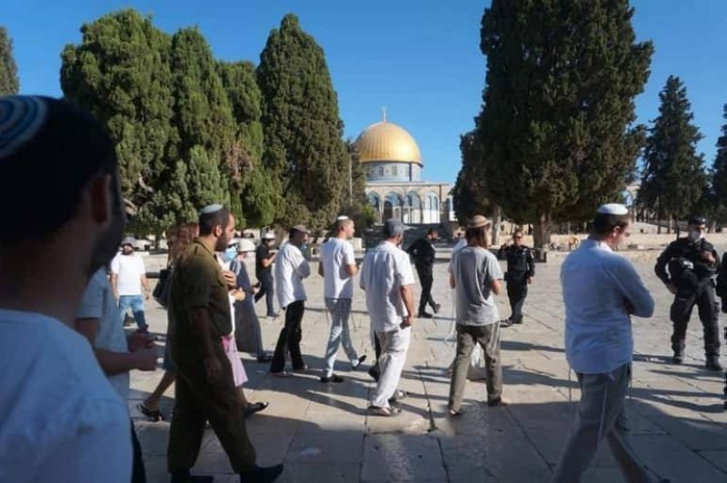 يهود يقتحمون باحة المسجد الأقصى.