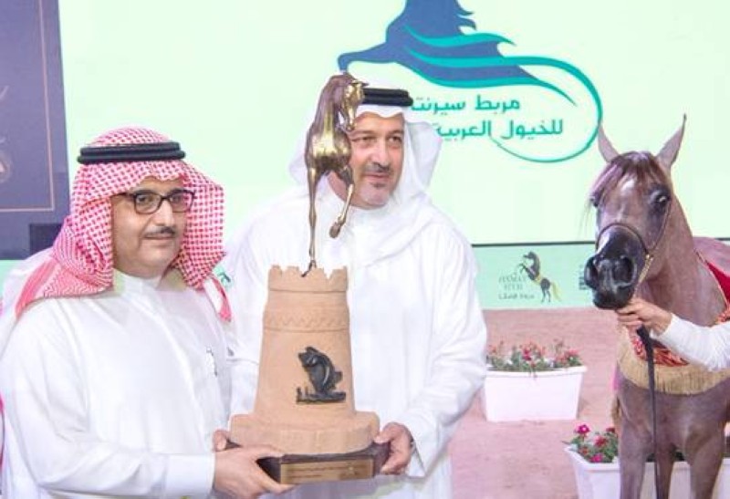 



بندر الفيصل يسلم ذهبية بطولة الخيل السعودية للأمهار.
