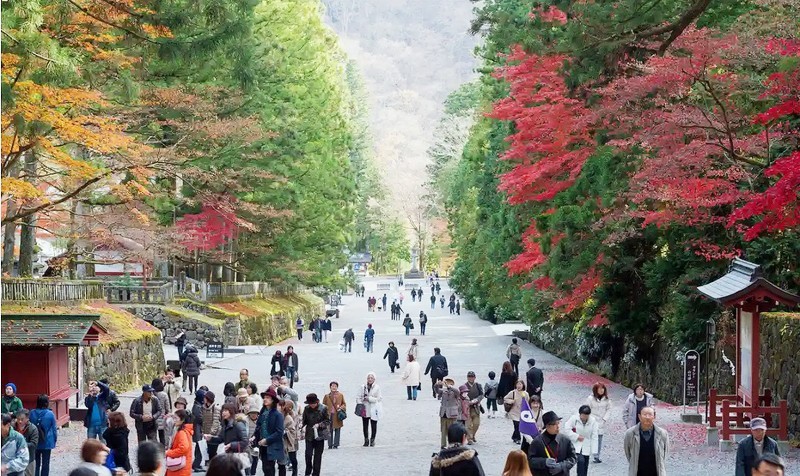 



قررت اليابان إعادة فتح أبوابها للسياح الأجانب بشروط تشمل إلزامية ارتداء الكمامة. (وكالات)